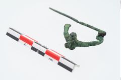 Foto von Bronzedreiknopffibel (NHMW-PRAE-026551)